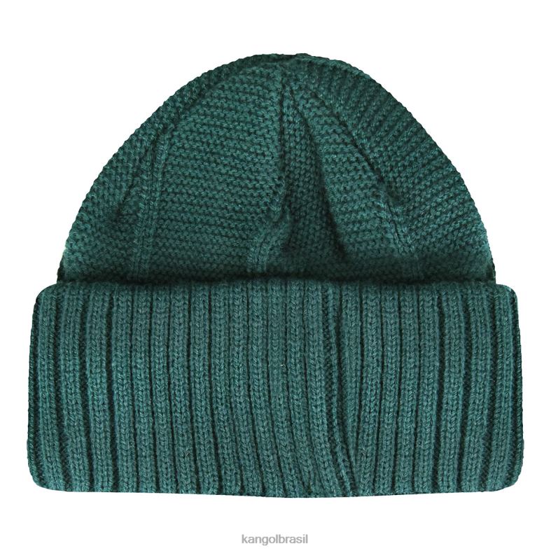 chapelaria | Kangol unissex pinho pull-on de etiqueta oculta Z4880816